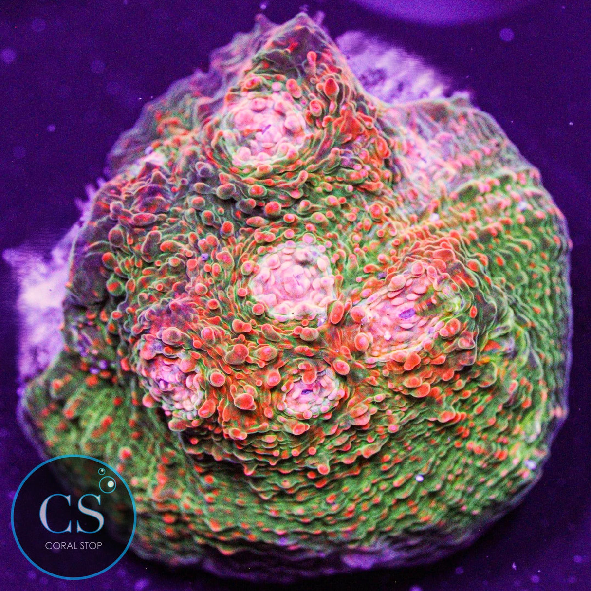 Pink Kryptonite Chalice