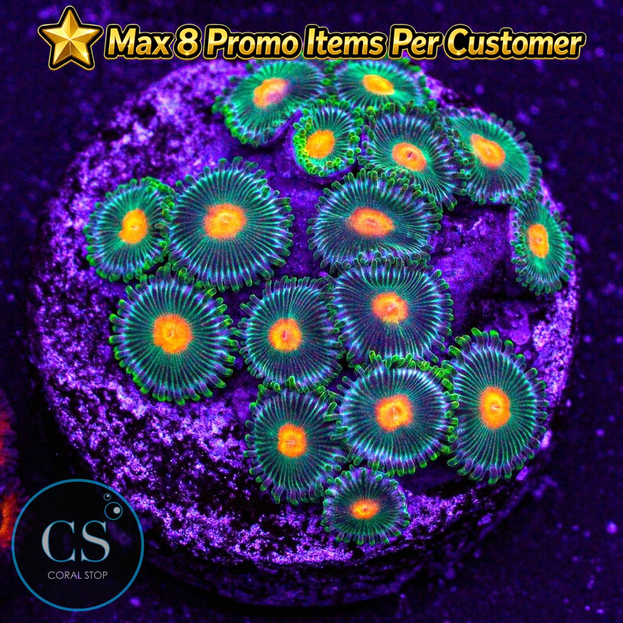 Green Bay Packers Zoa