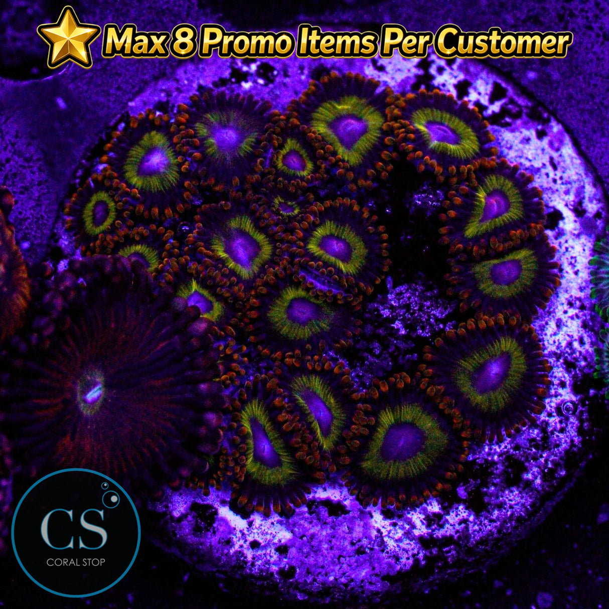 Fruit Loops Zoa