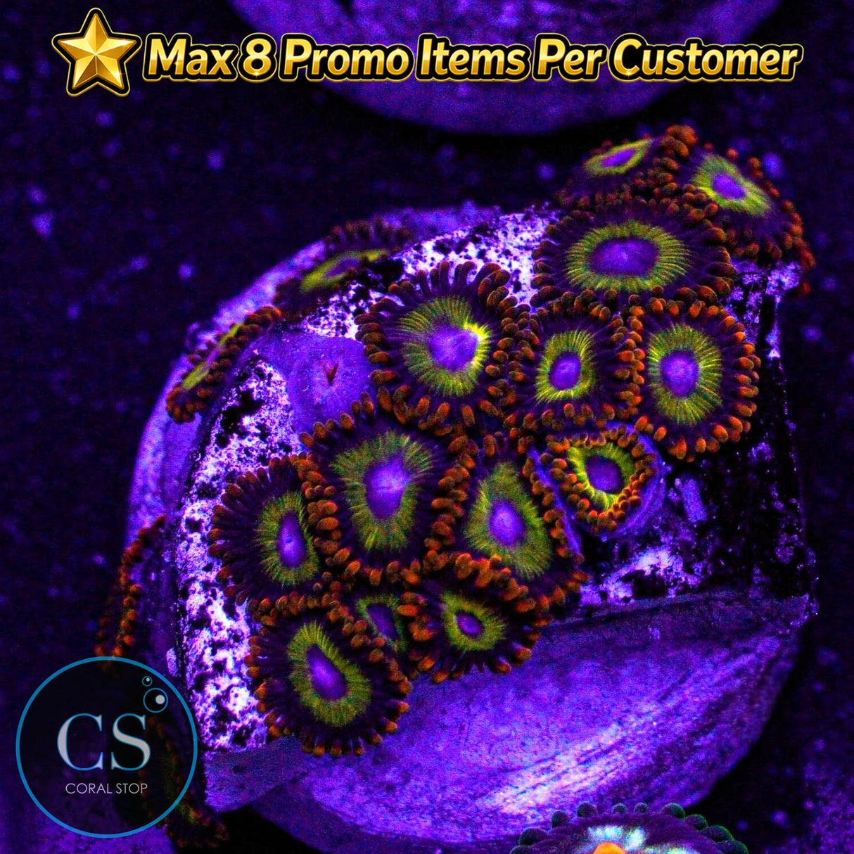 Fruit Loops Zoa