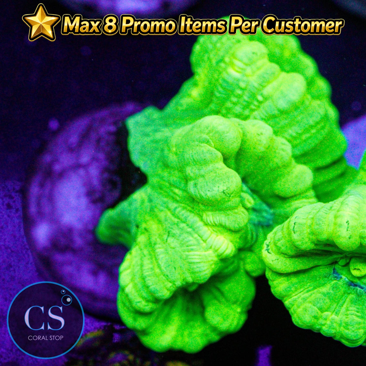 Kryptonite Candy Cane