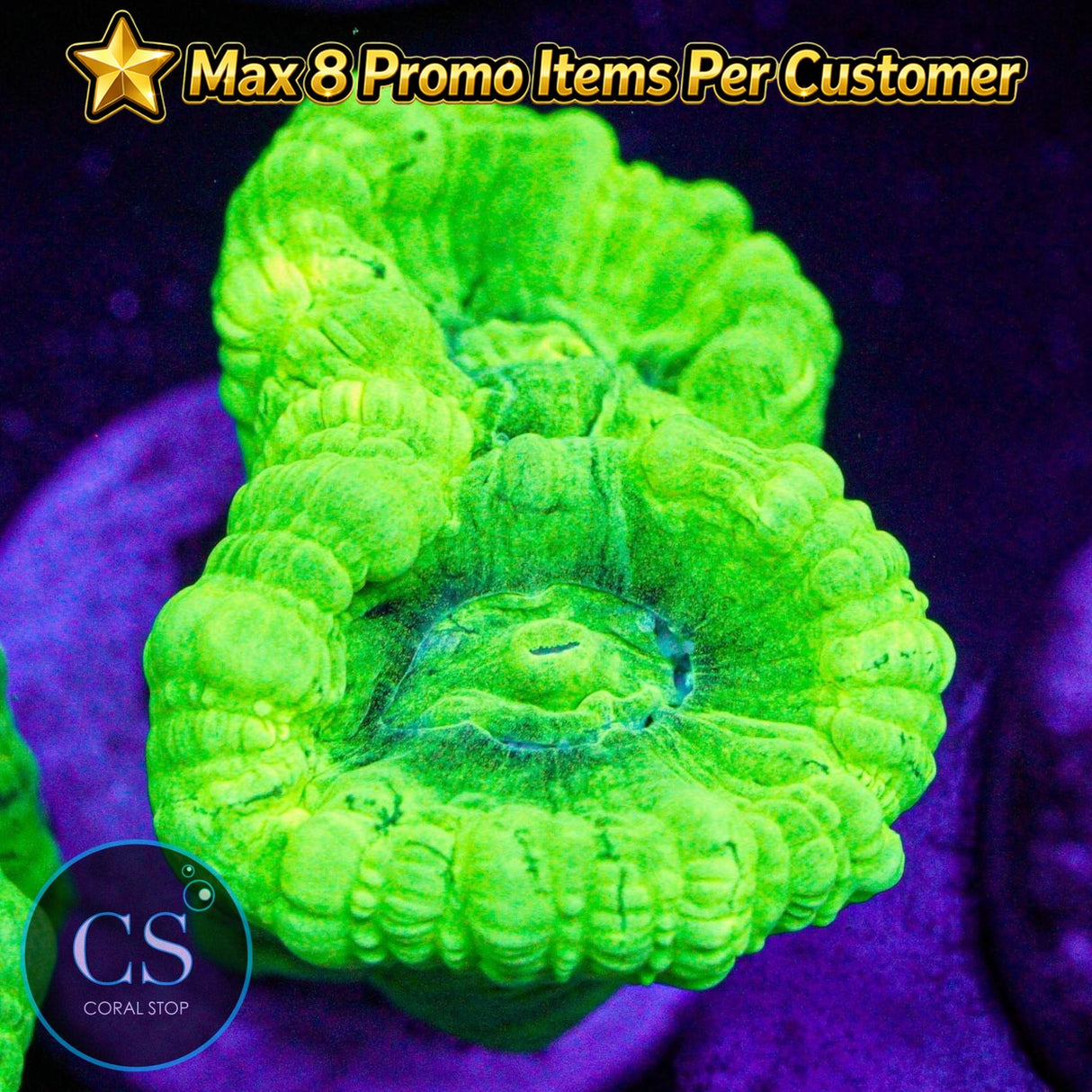 Kryptonite Candy Cane