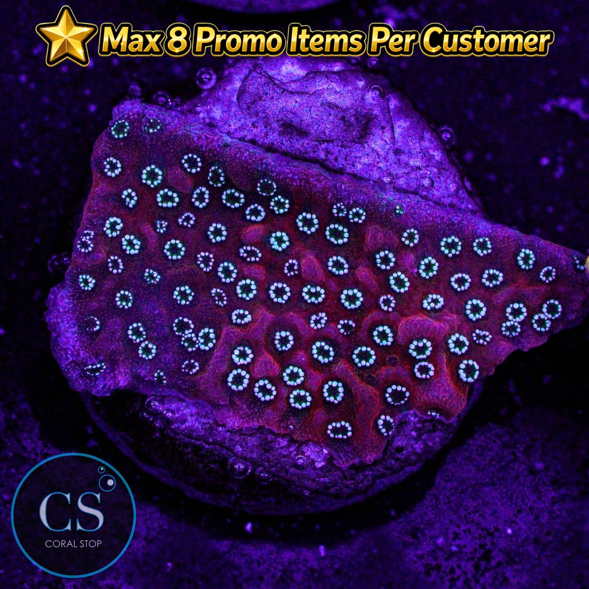 JF Silver Bullet Monti