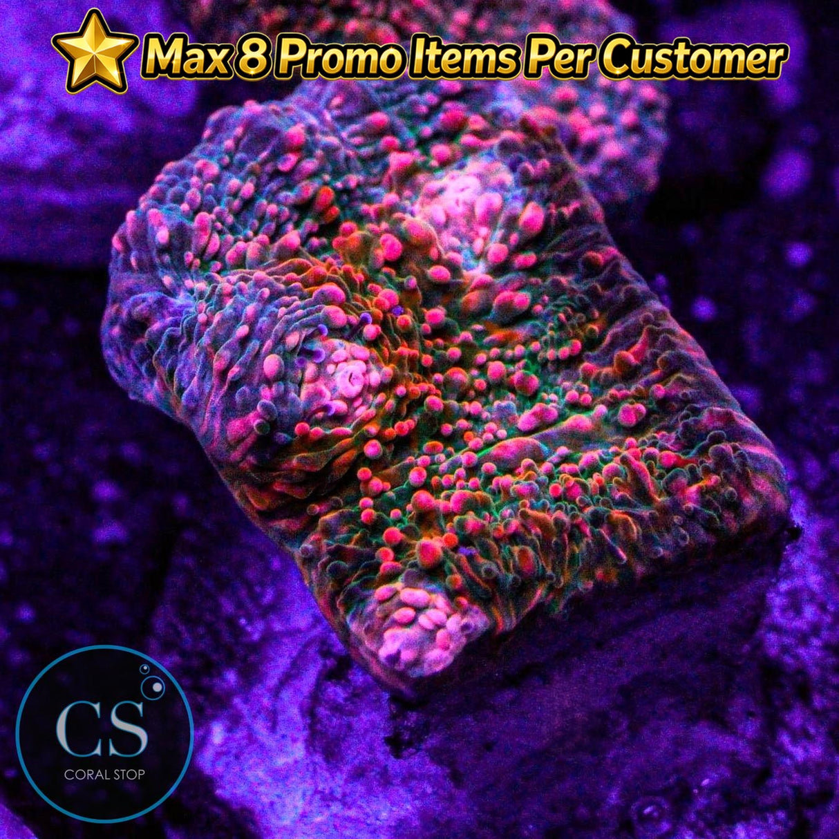 CS Pink Kryptonite Chalice