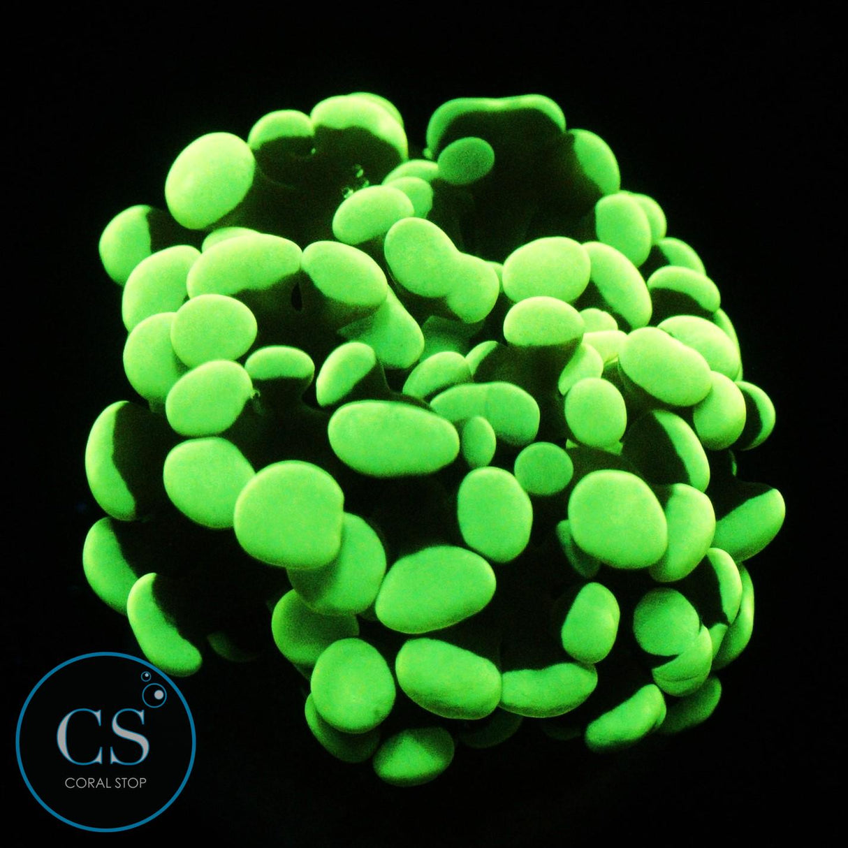 ULTRA KRYPTONITE HAMMER