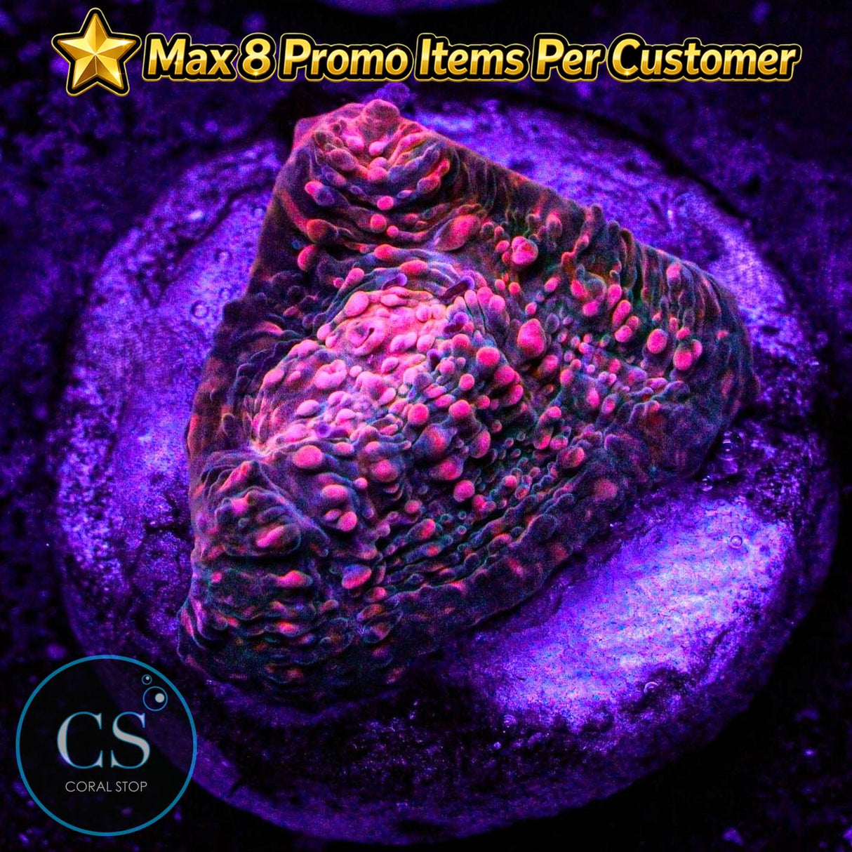 CS Pink Kryptonite Chalice
