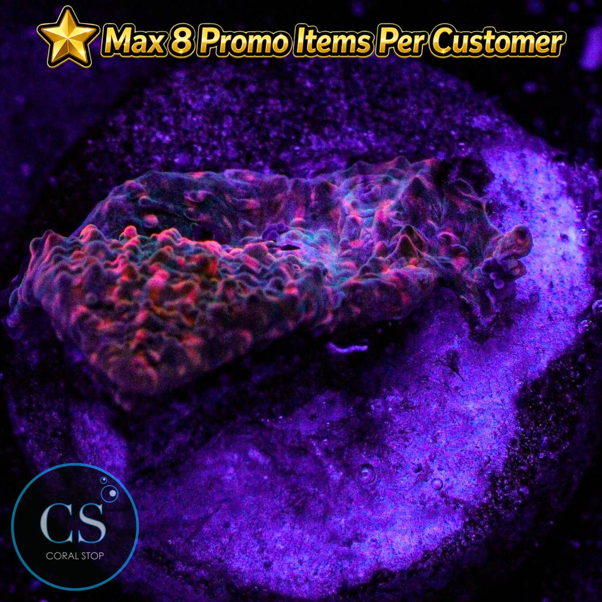 CS Pink Kryptonite Chalice