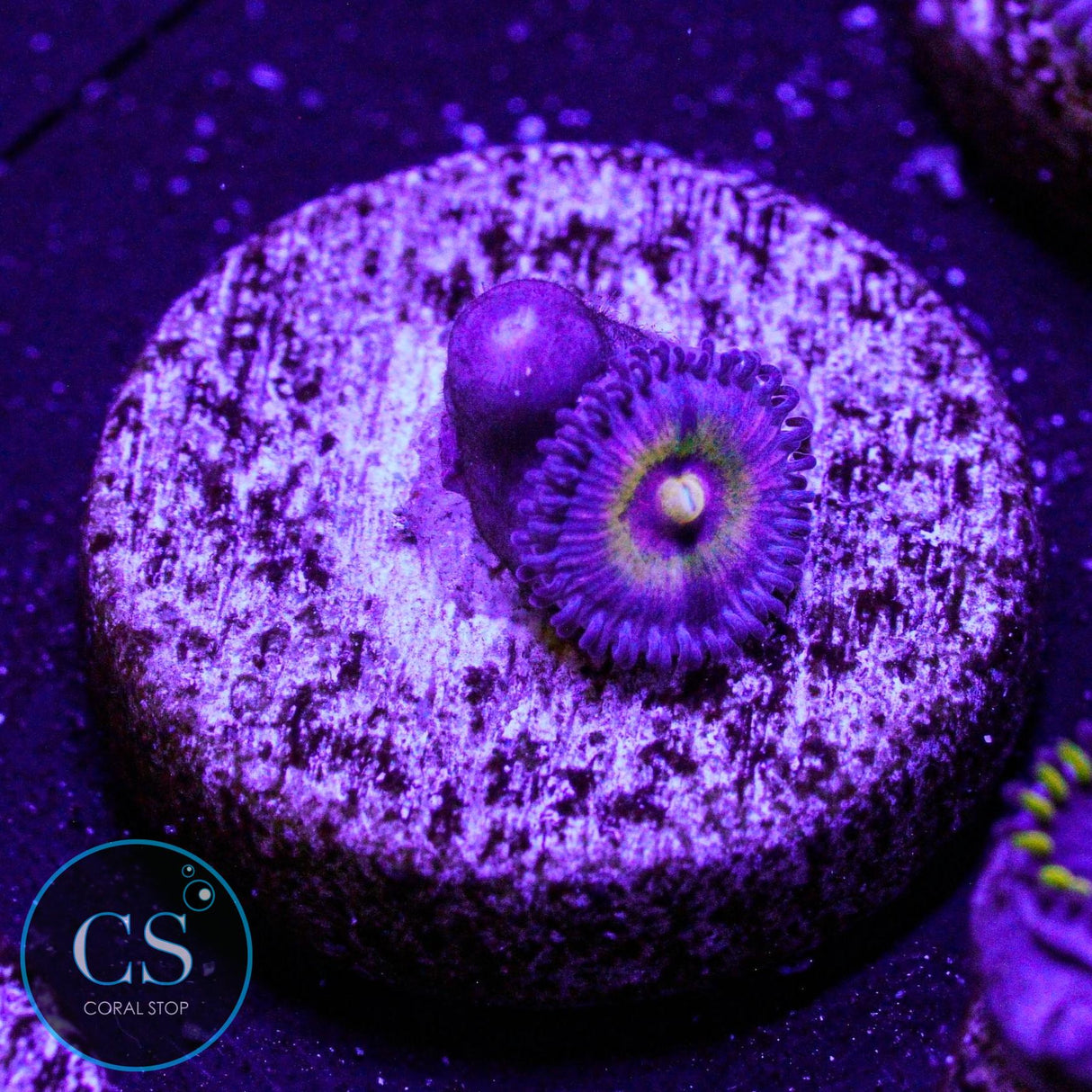 Wolverine Zoa