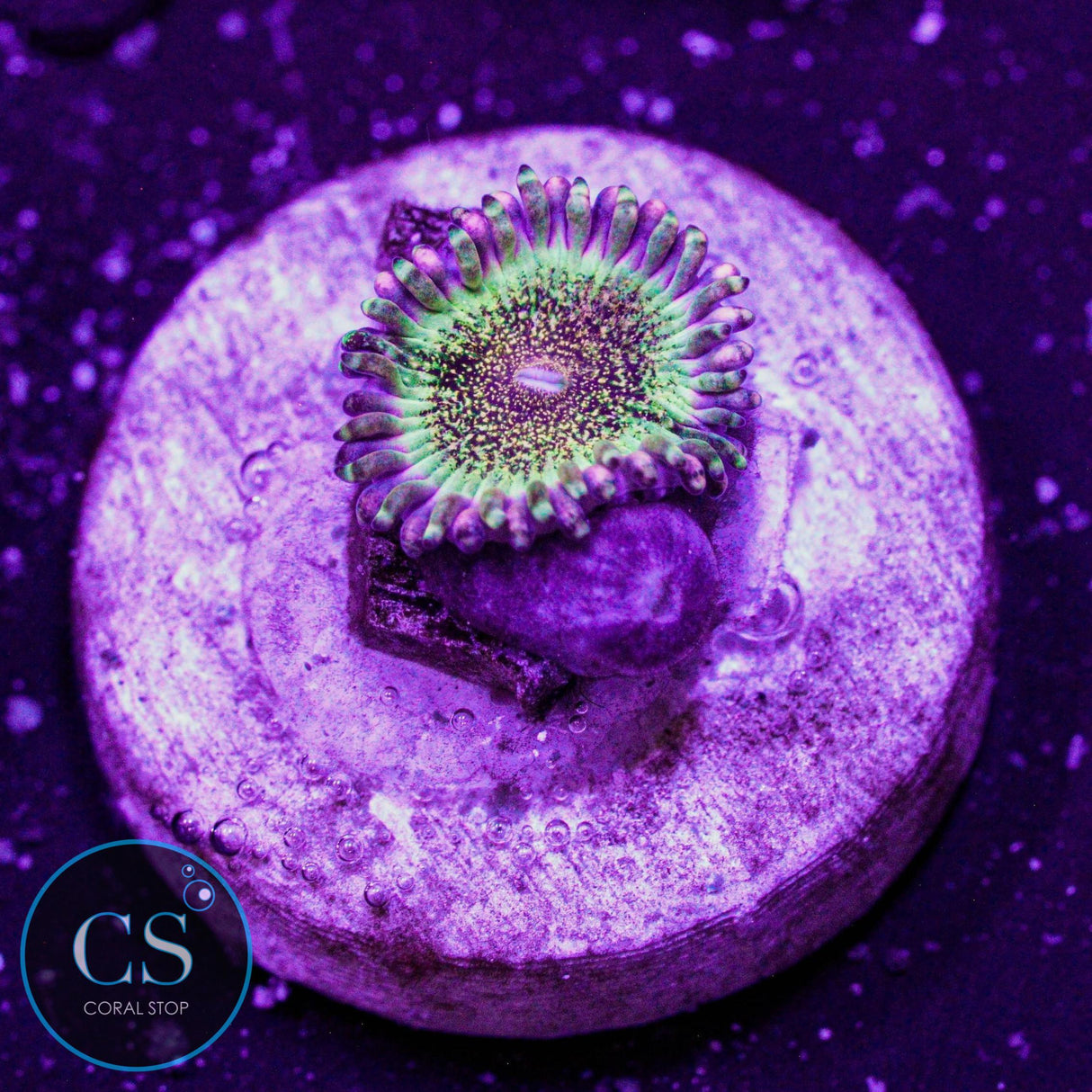 HR Deathstar Zoa