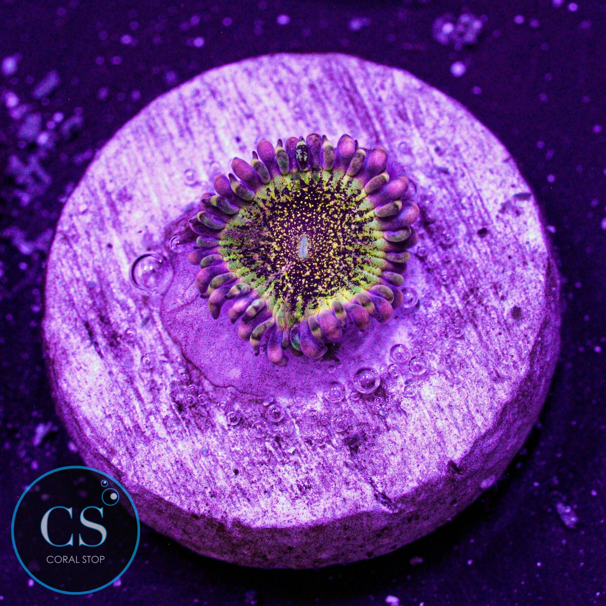 HR Deathstar Zoa