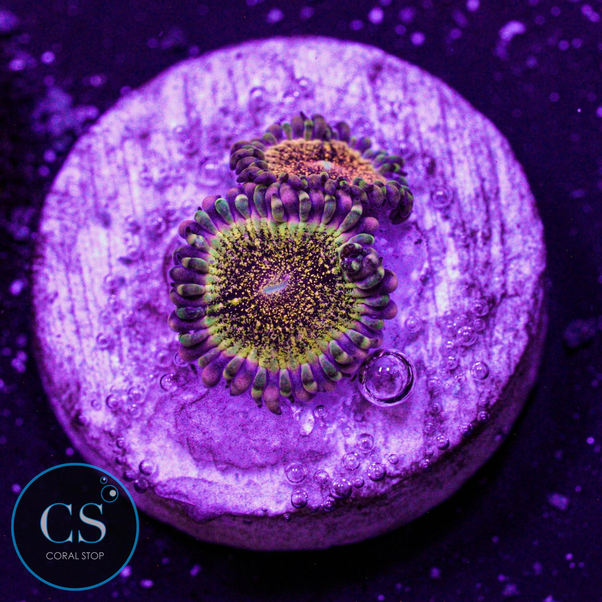 HR Deathstar Zoa