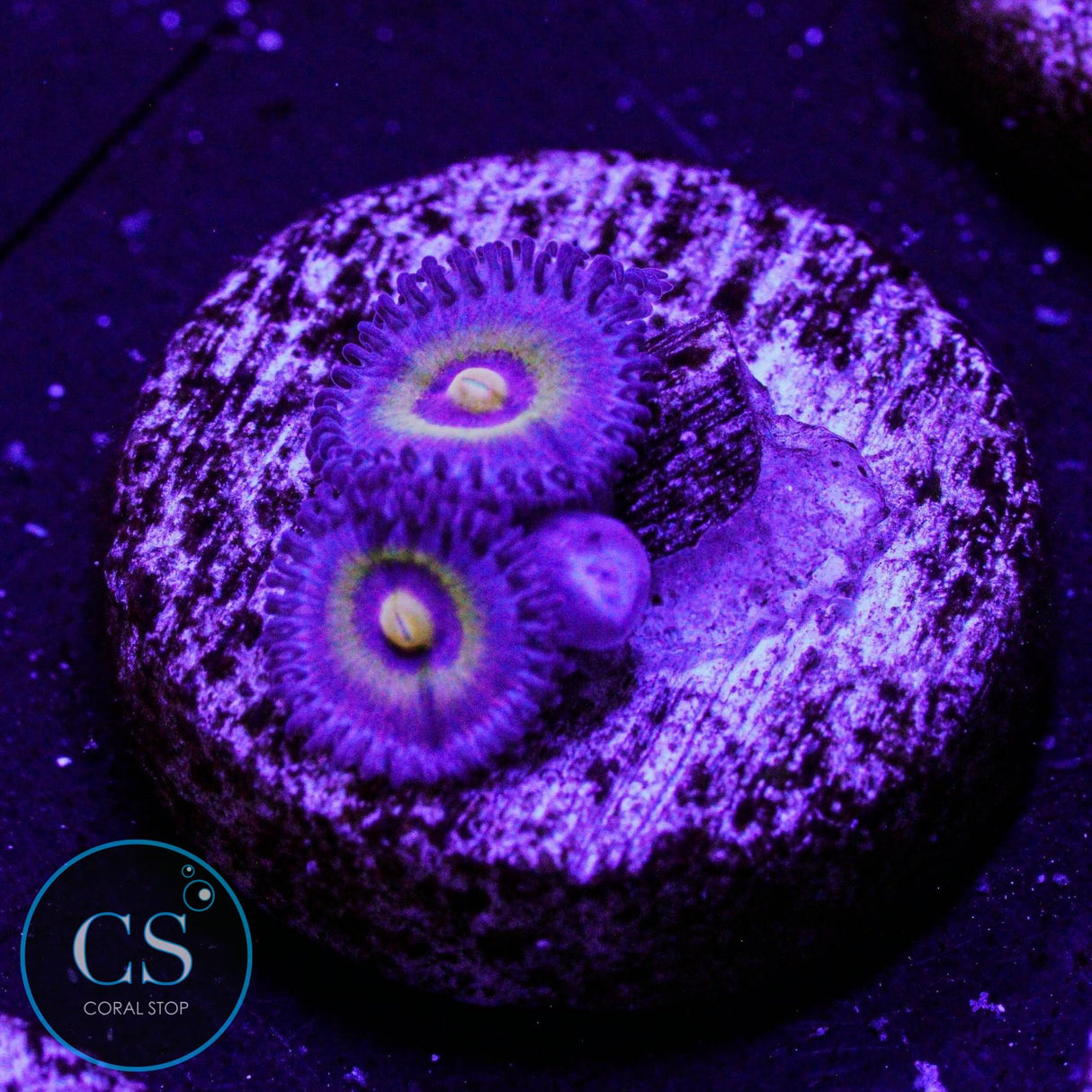 Wolverine Zoa