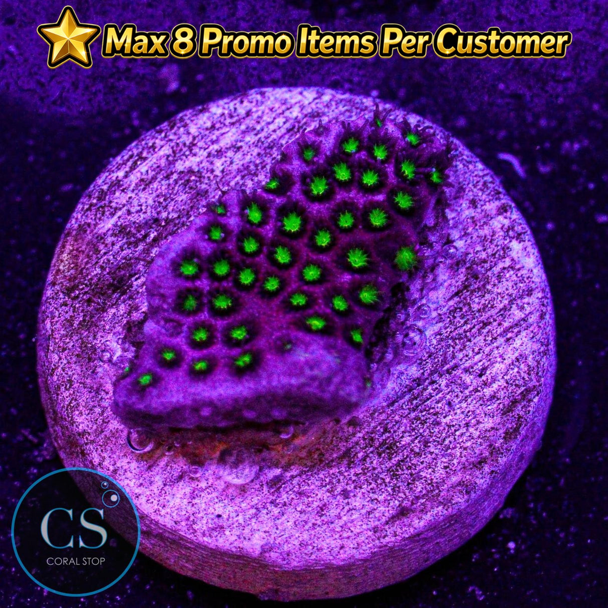 WWC Electric Daisy Stylo