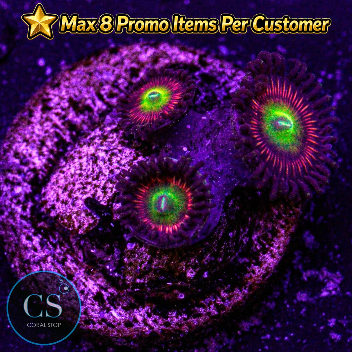 Ultra Cat Eye Zoa
