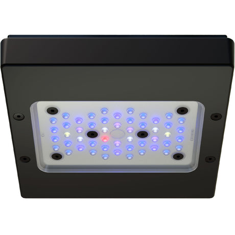 RADION G6 XR15 BLUE LED LIGHT FIXTURE - ECOTECH MARINE