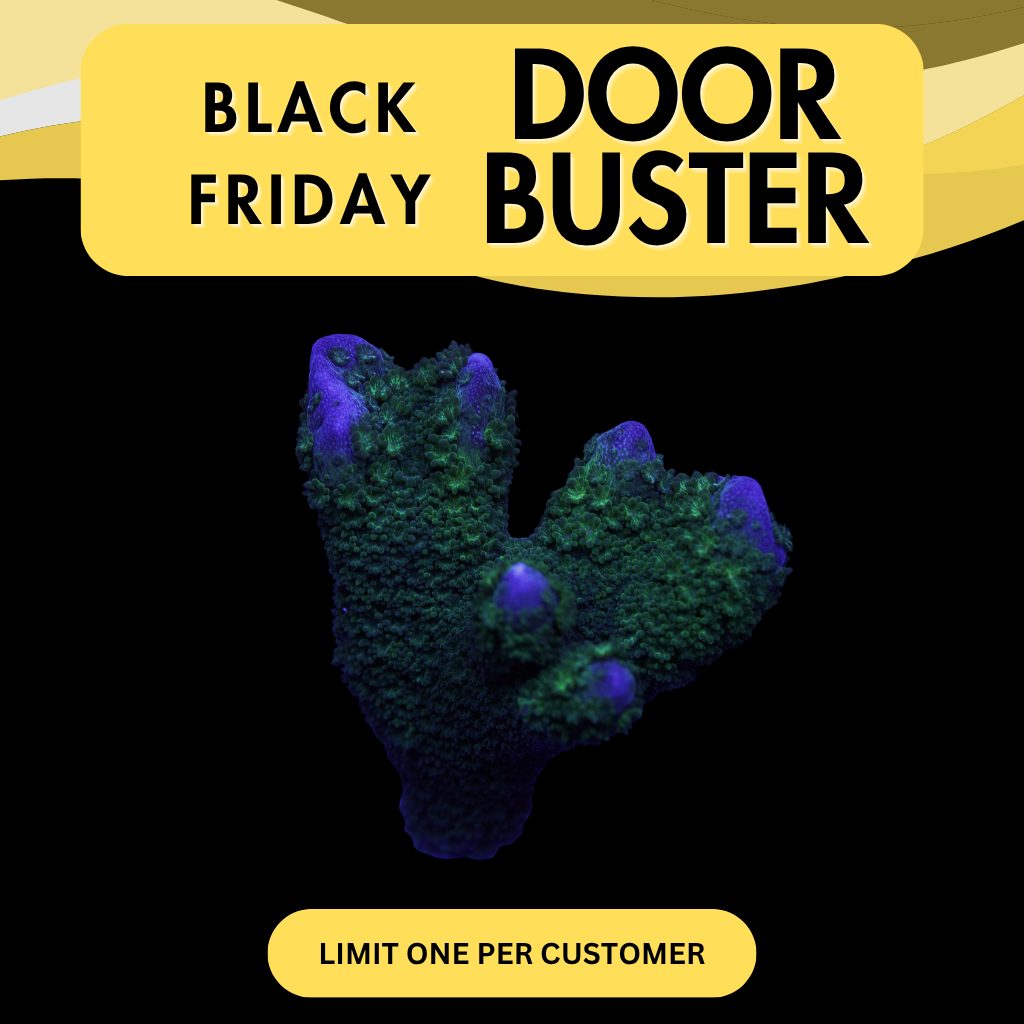 GREEN GOBLIN DIGI - DOOR BUSTER