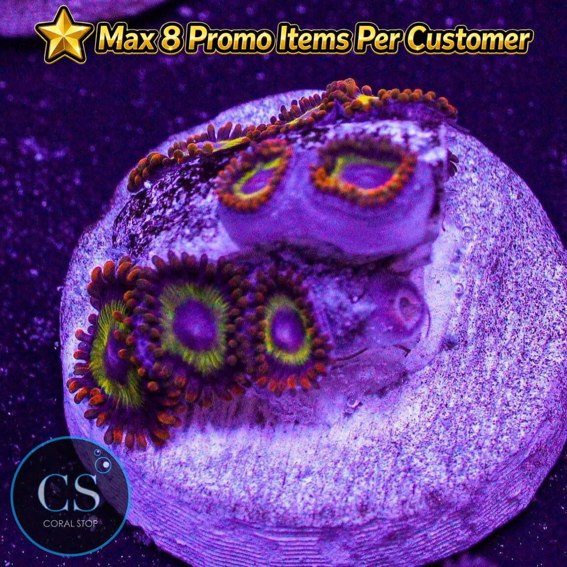 Fruit Loops Zoa