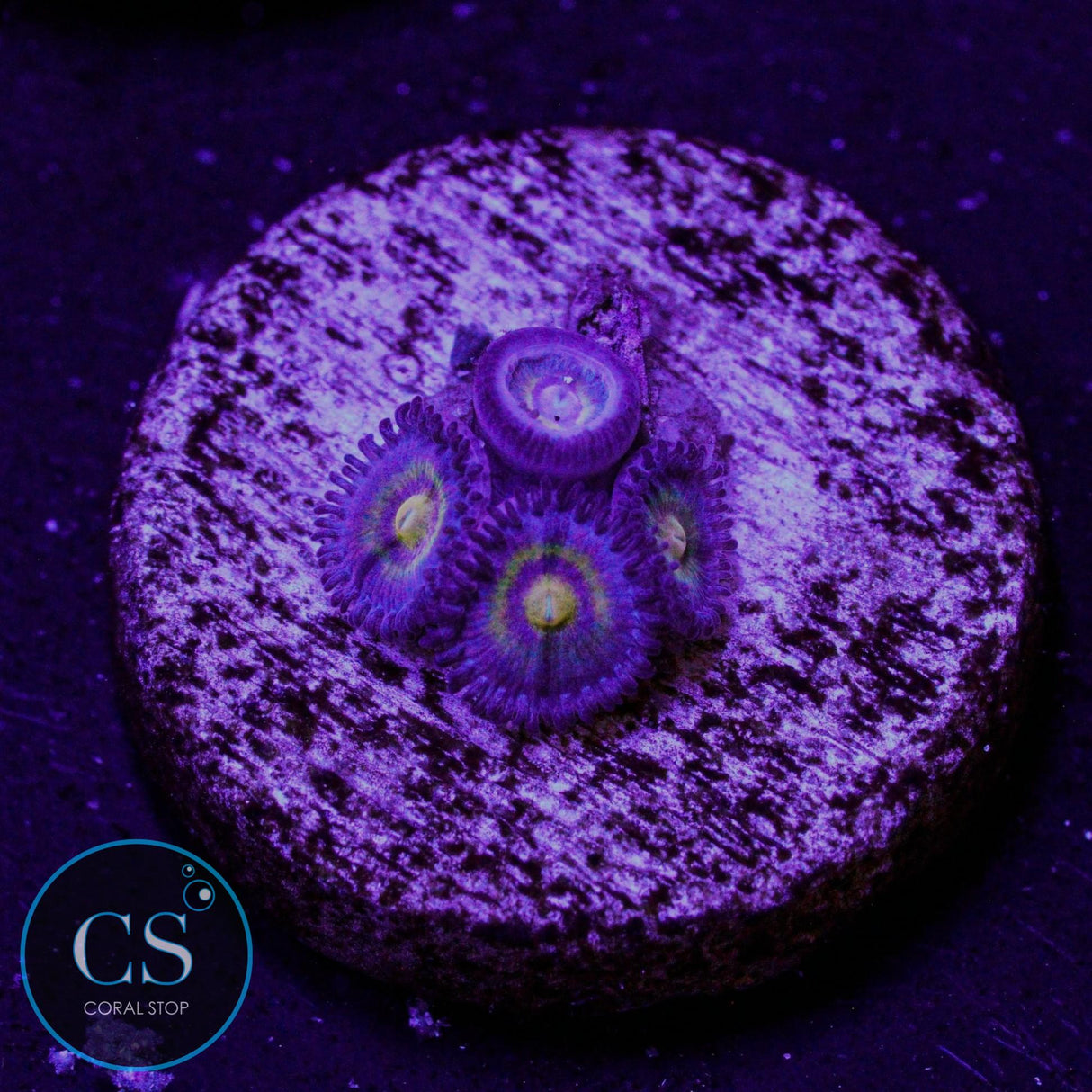 Wolverine Zoa