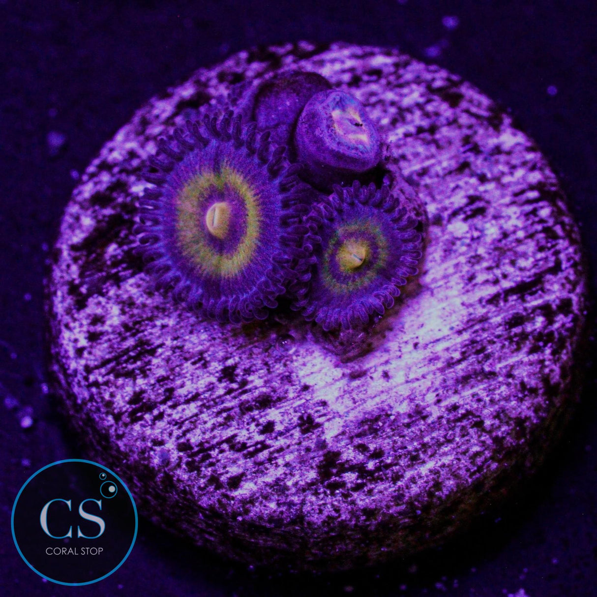 Wolverine Zoa