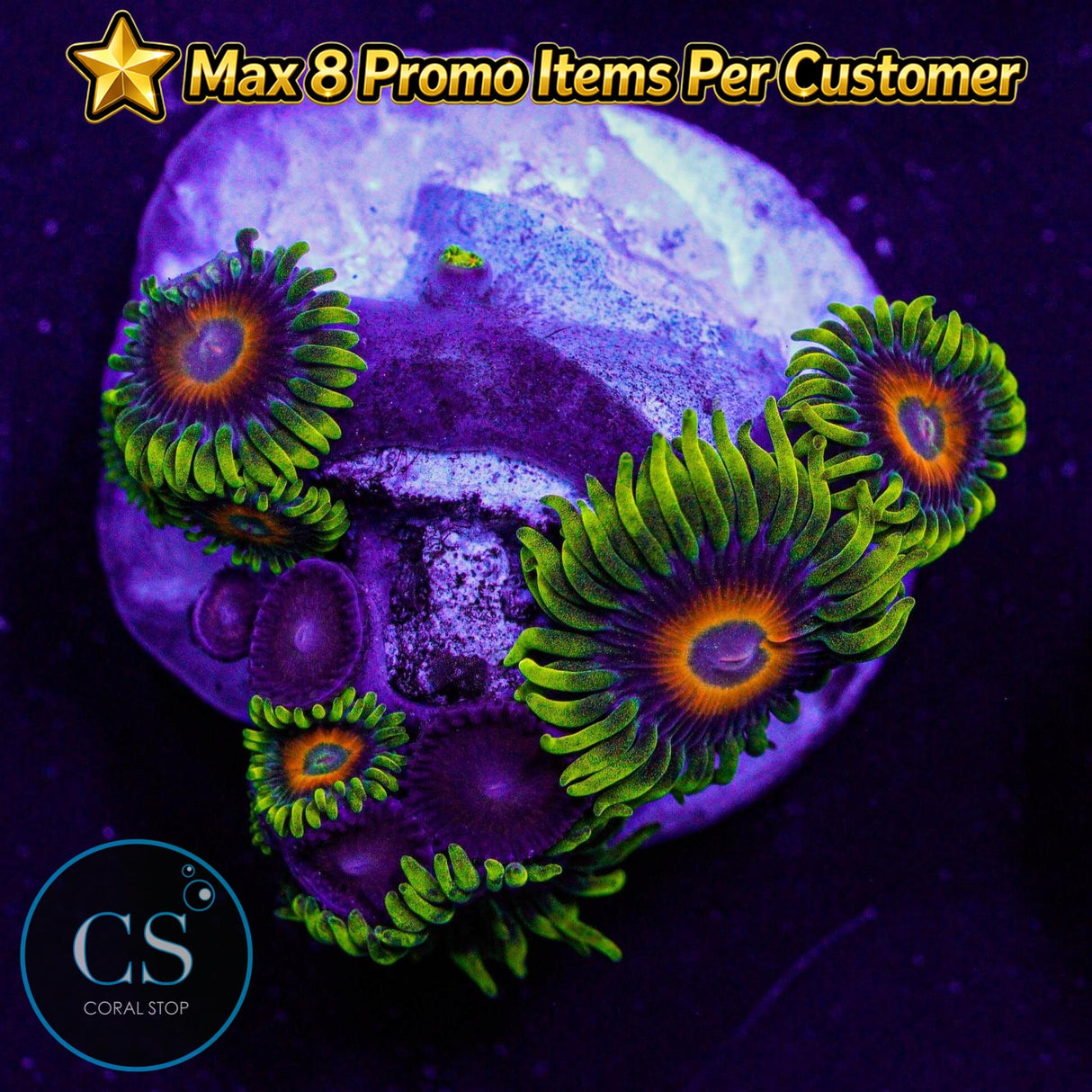 Eagle Eye Zoa