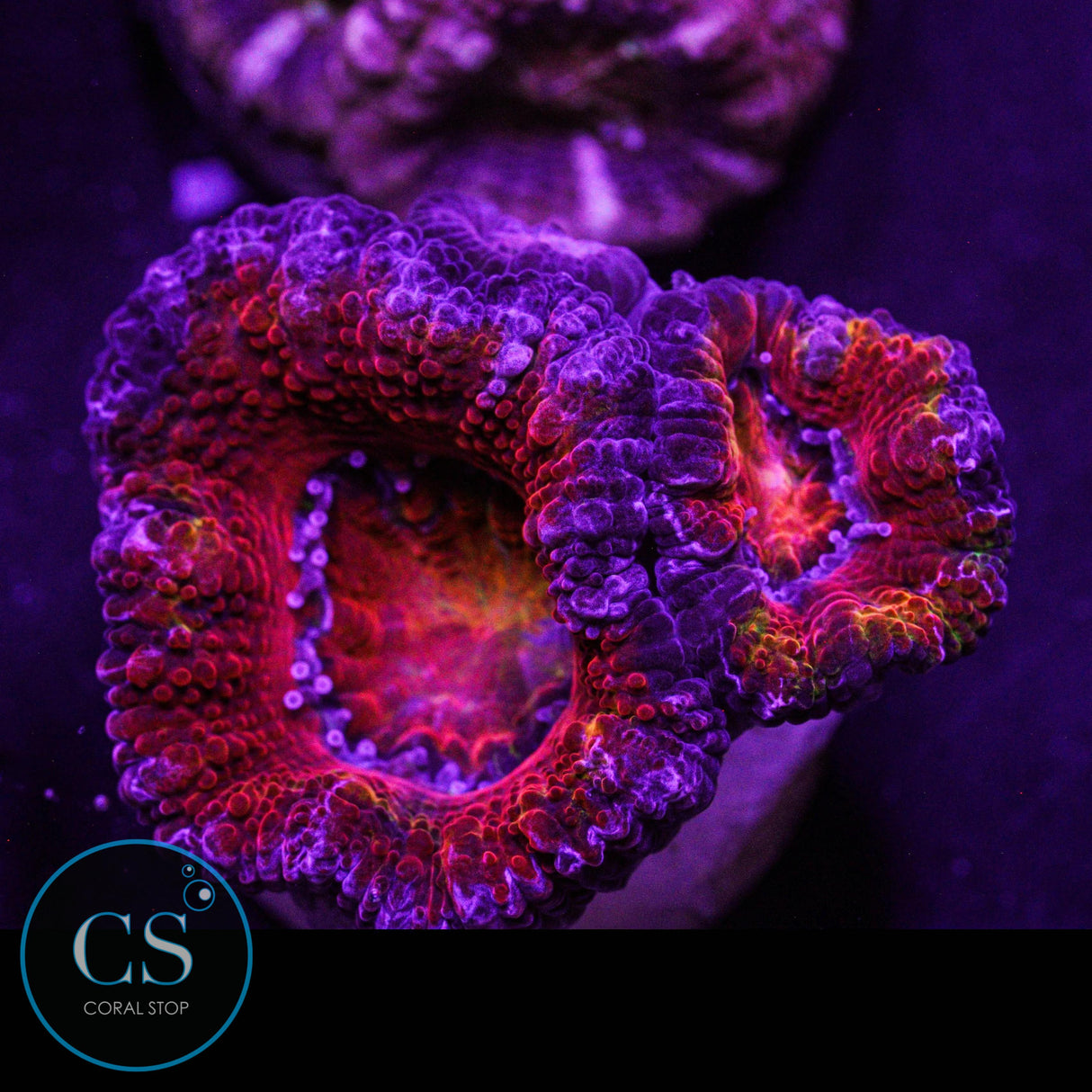 Hellboy Acan