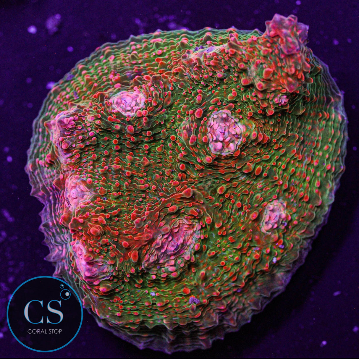 Pink Kryptonite Chalice