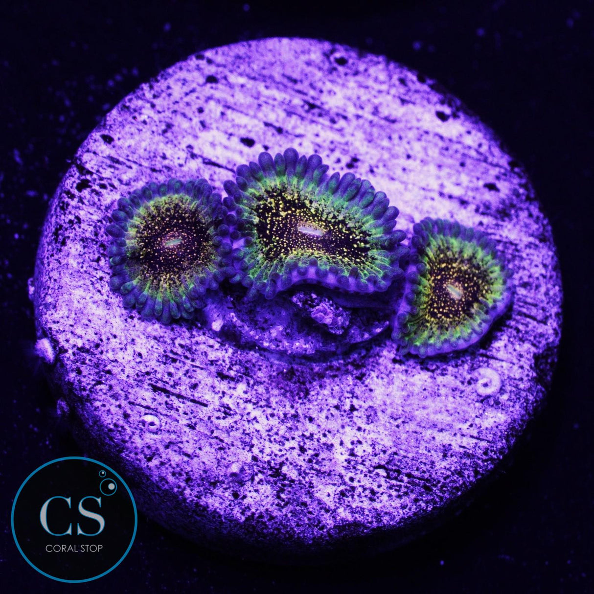 HR Deathstar Zoa