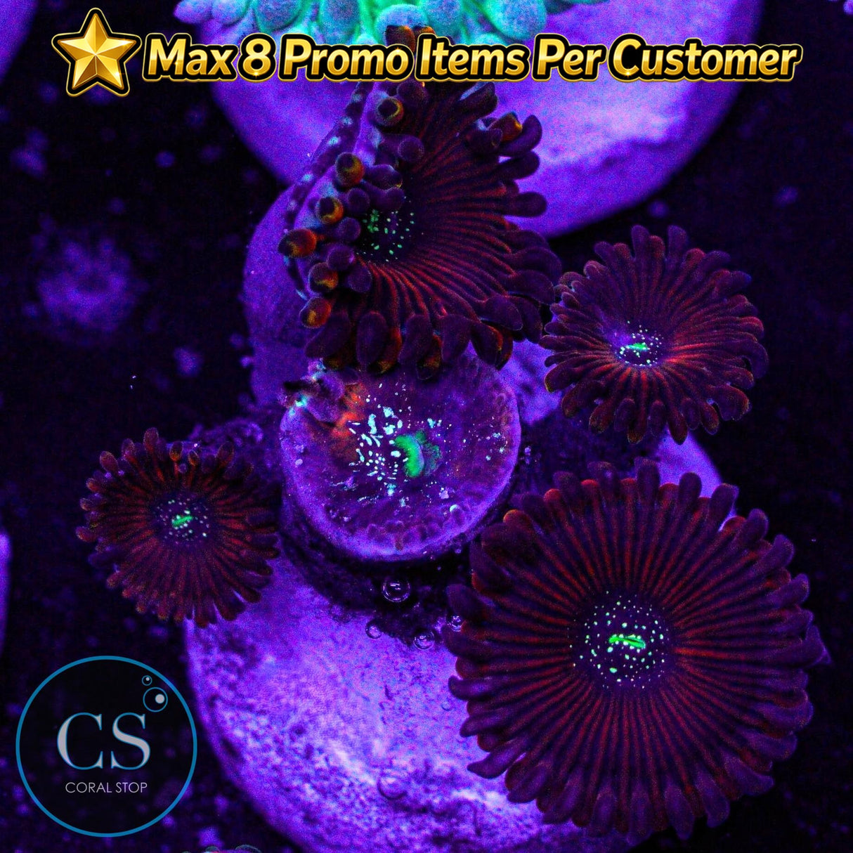 Ultra Magician Zoa