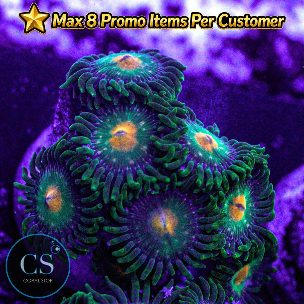Green Bay Packers Zoa