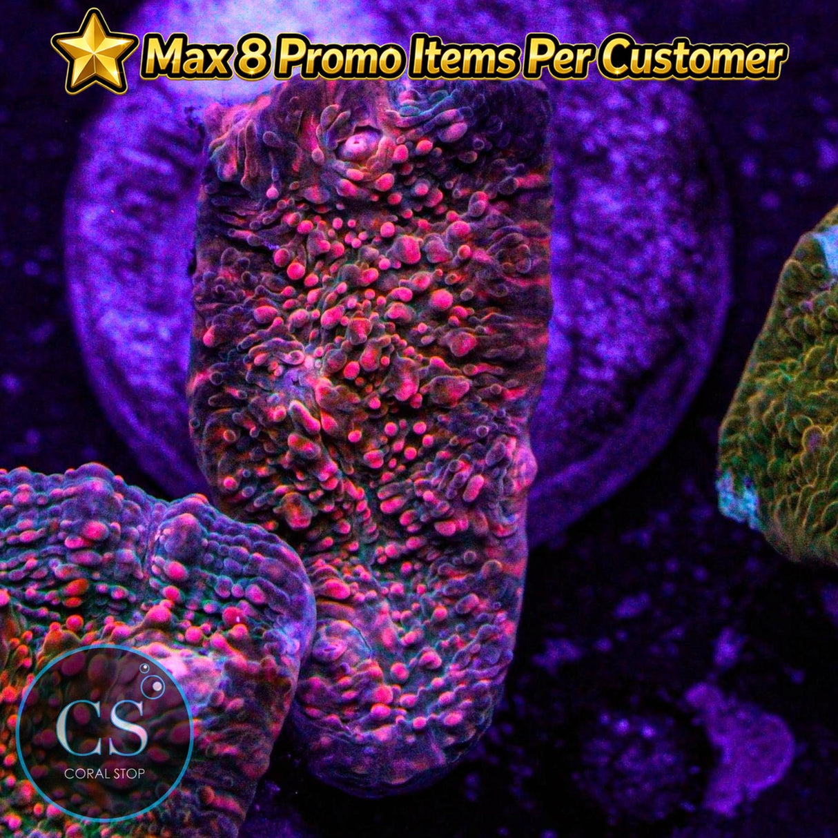 CS Pink Kryptonite Chalice