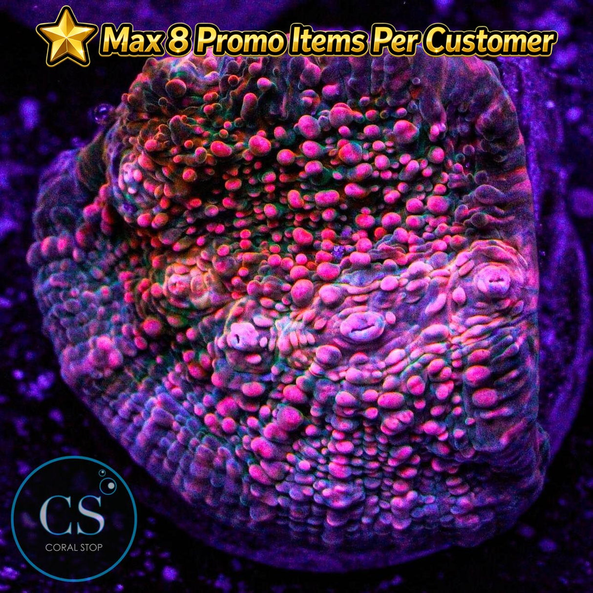 CS Pink Kryptonite Chalice