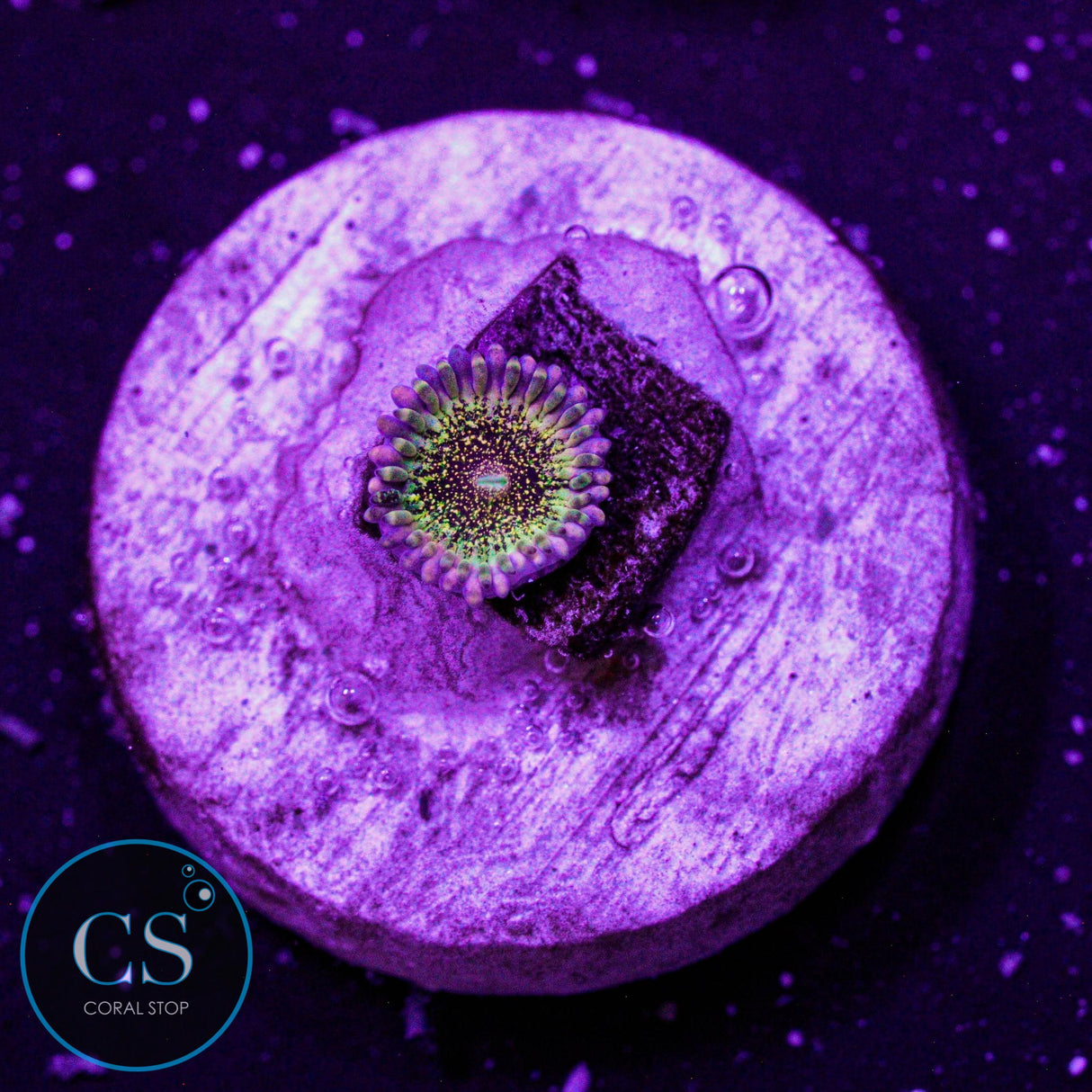 HR Deathstar Zoa