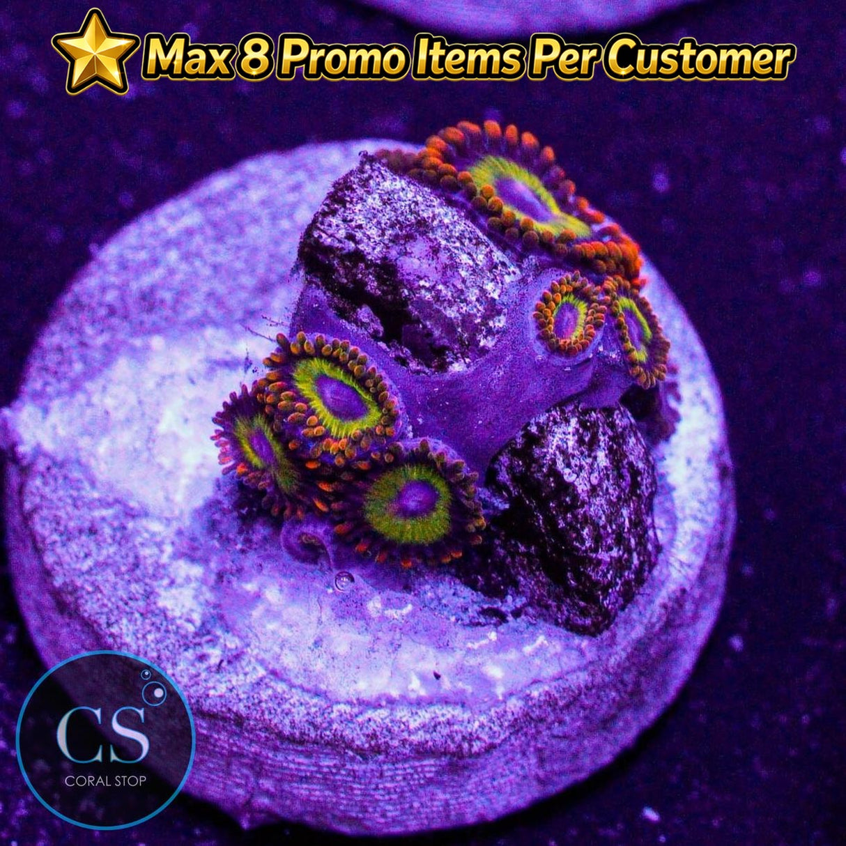 Fruit Loops Zoa