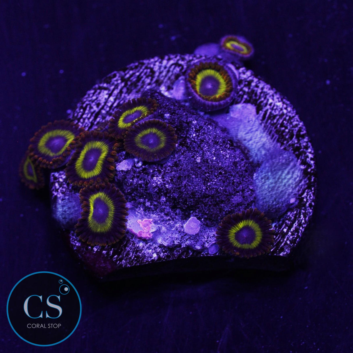 Fruit Loops Zoa