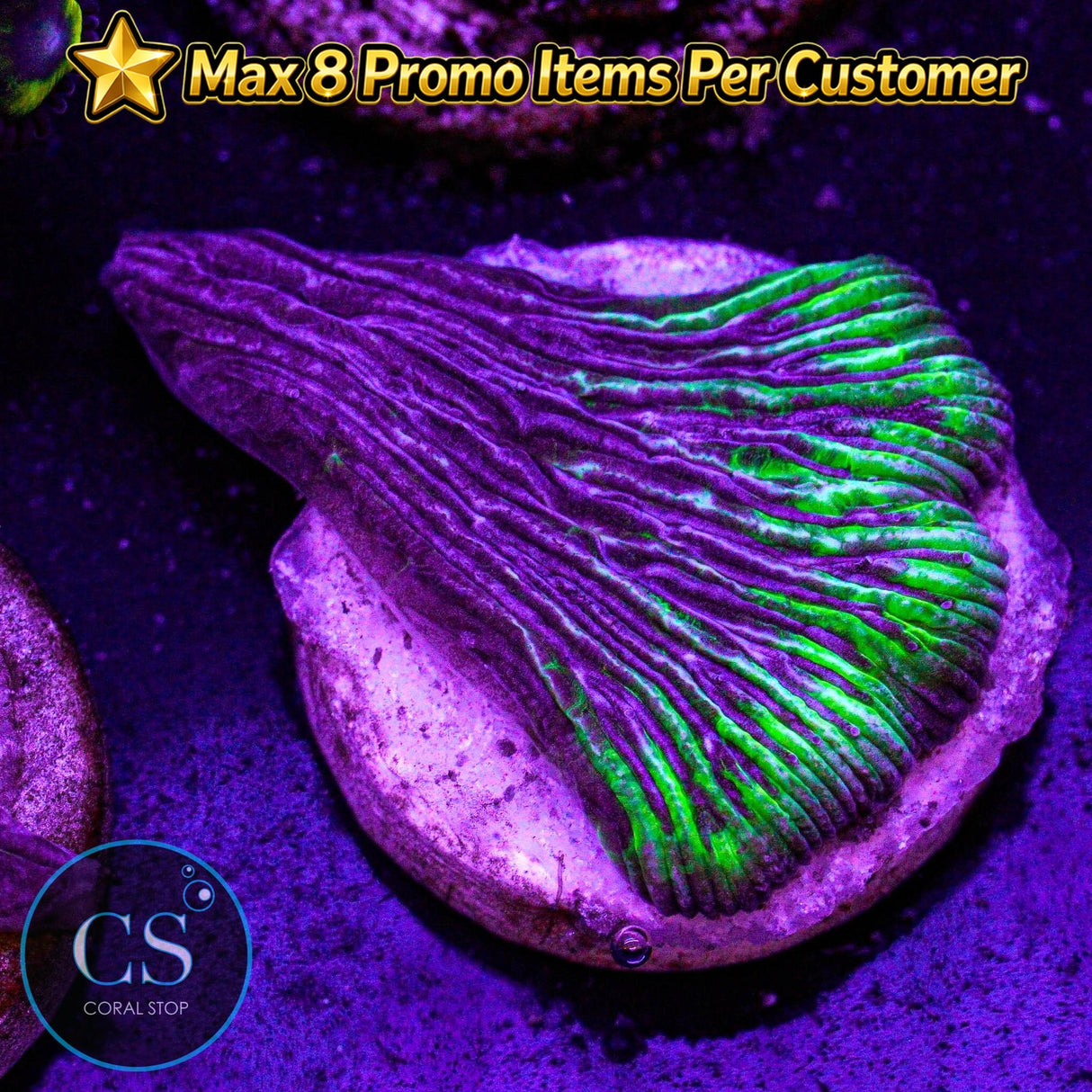 Laser Grape Diaseris Plate