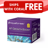 AF Growth Boost Amino Acids - 35g