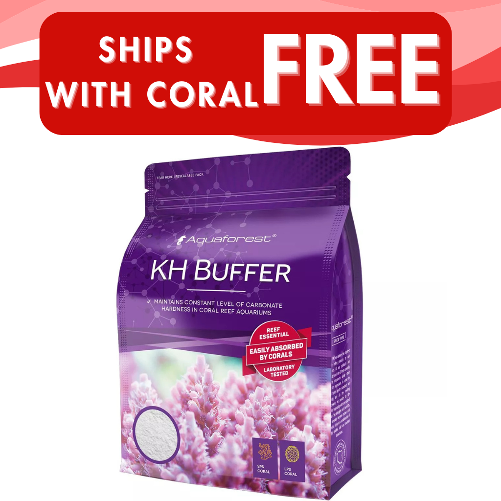 KH Buffer Dry Powder - 1200g