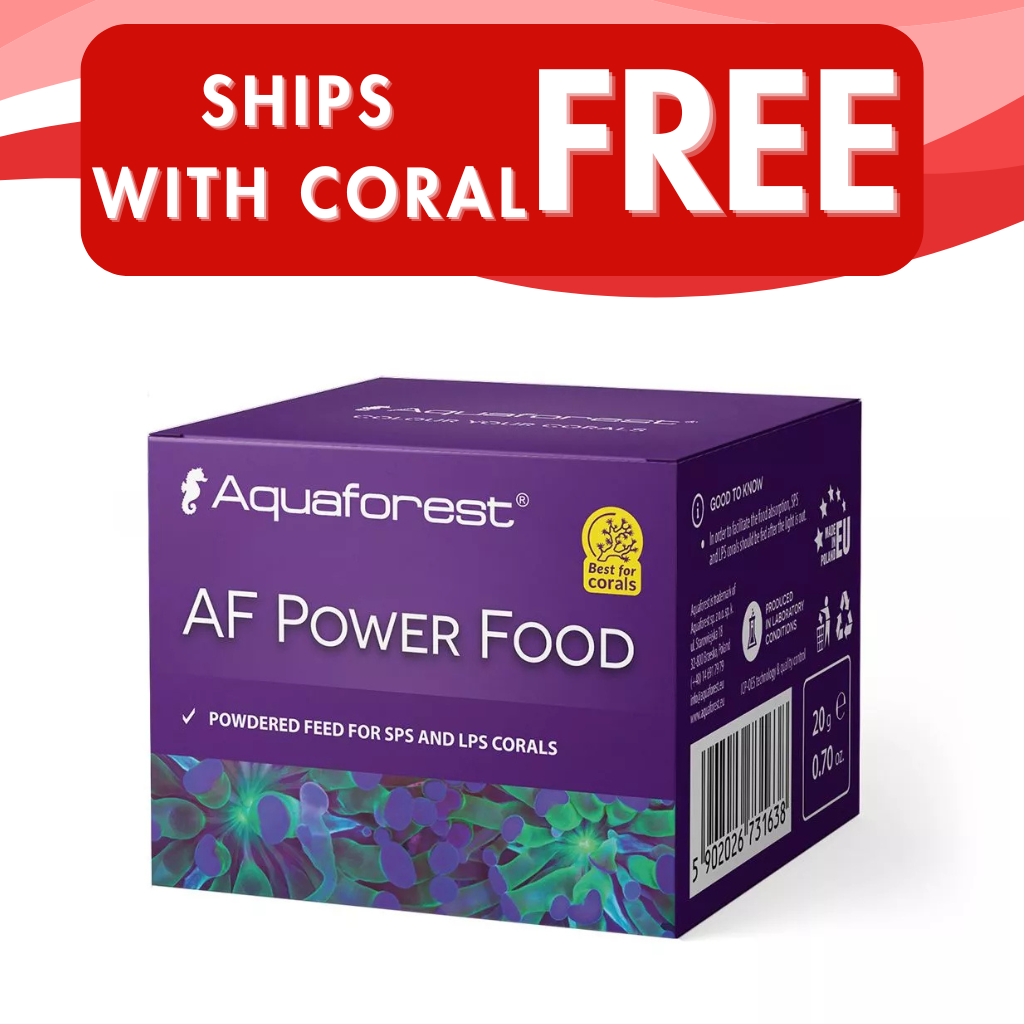 AF Power Food - 20g