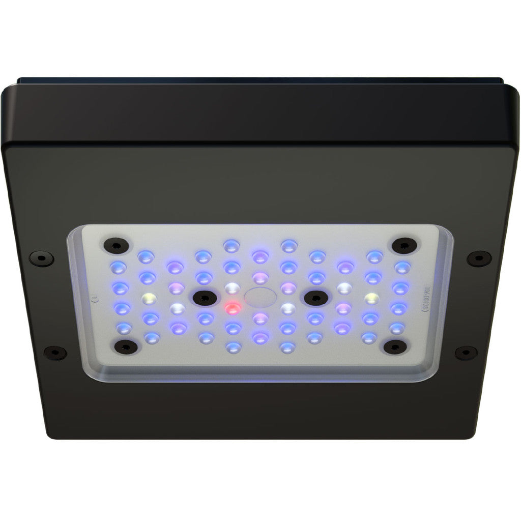 RADION G6 XR15 BLUE LED LIGHT FIXTURE - ECOTECH MARINE