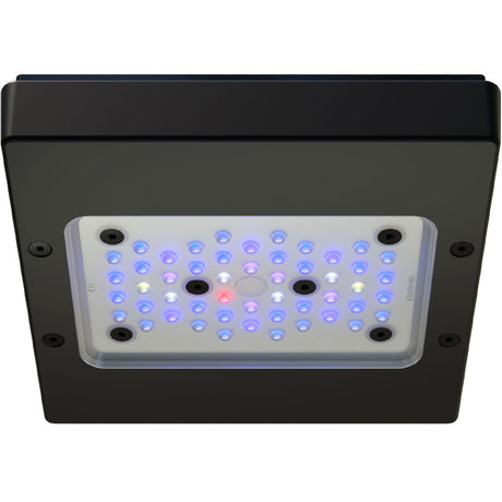 RADION G6 XR15 BLUE LED LIGHT FIXTURE - ECOTECH MARINE