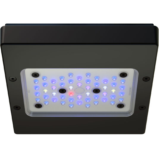 RADION G6 XR15 BLUE LED LIGHT FIXTURE - ECOTECH MARINE