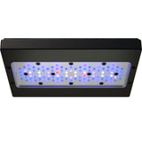 RADION G6 XR30 BLUE LED LIGHT FIXTURE - ECOTECH MARINE