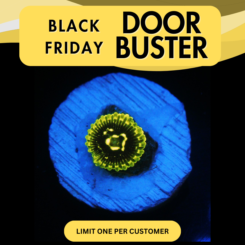 EXOSPHERE ZOA - DOOR BUSTER