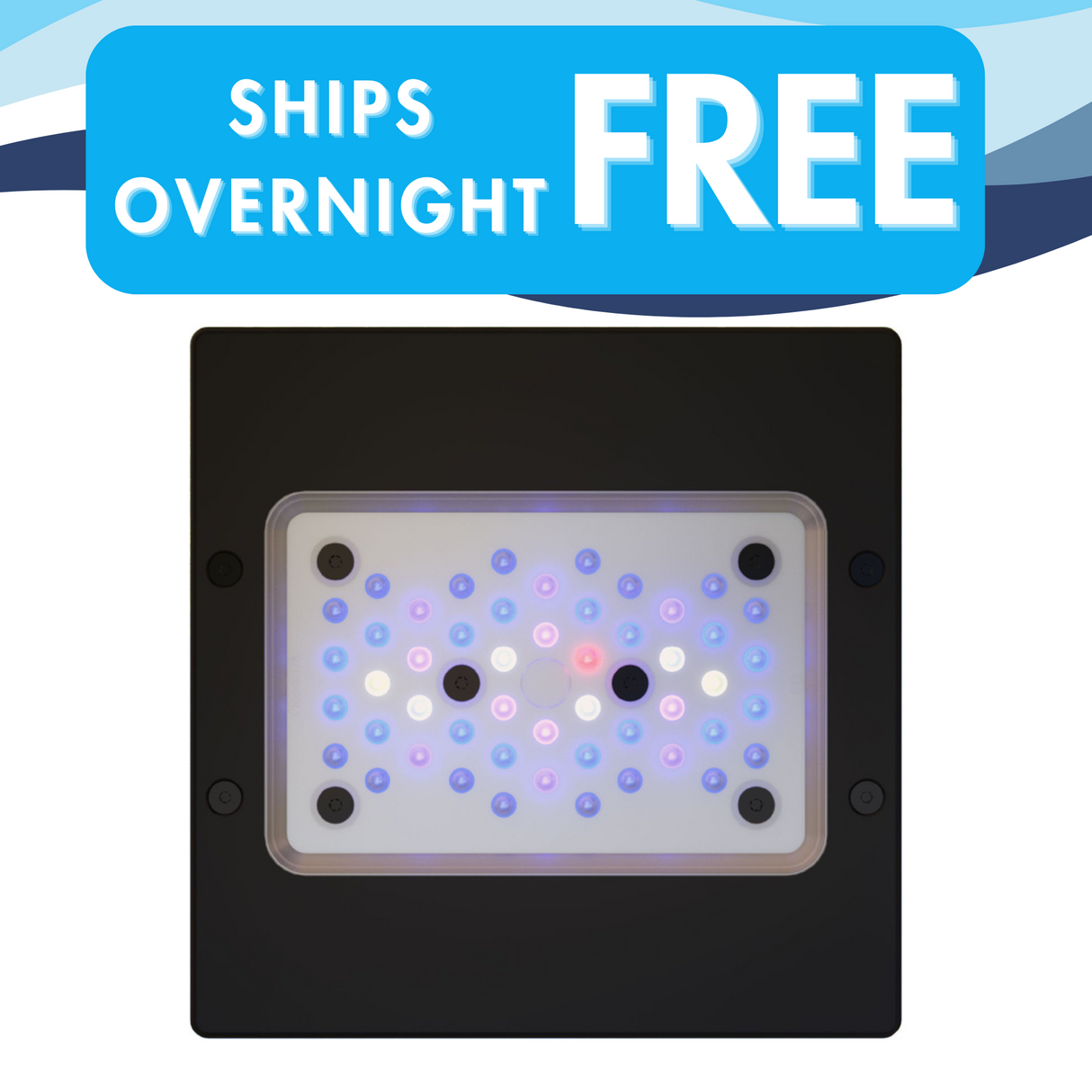 RADION G6 XR15 BLUE LED LIGHT FIXTURE - ECOTECH MARINE