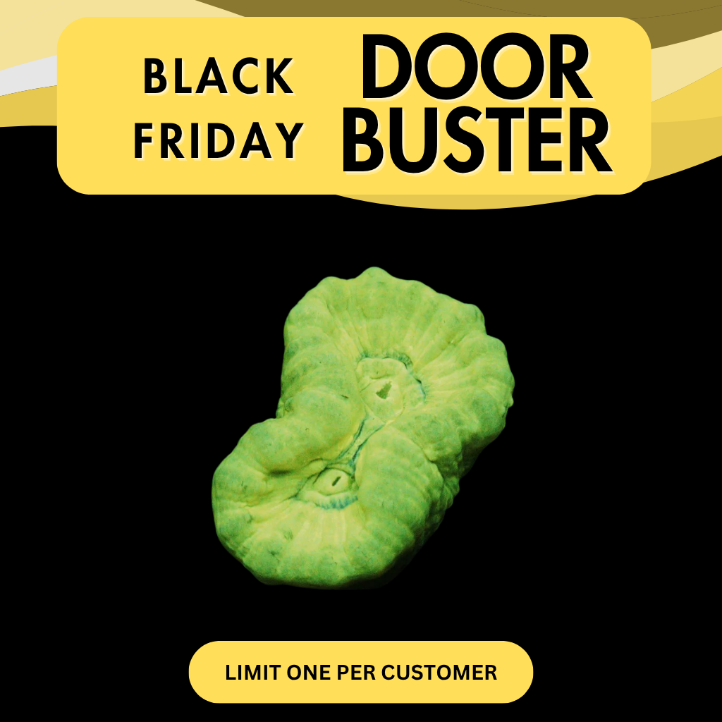 KRYPTONITE CANDY CANE - DOOR BUSTER