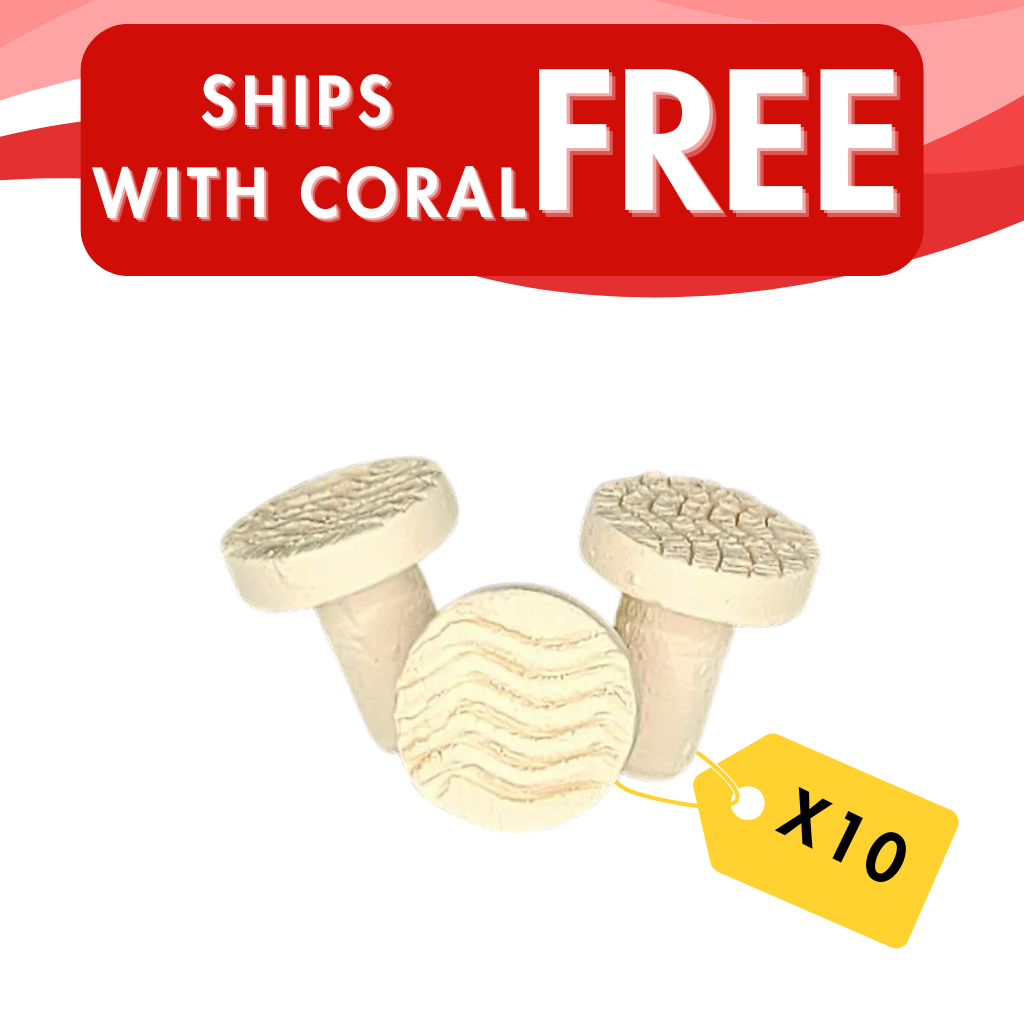 Premium Ceramic Coral Frag Plugs – 10 Pack