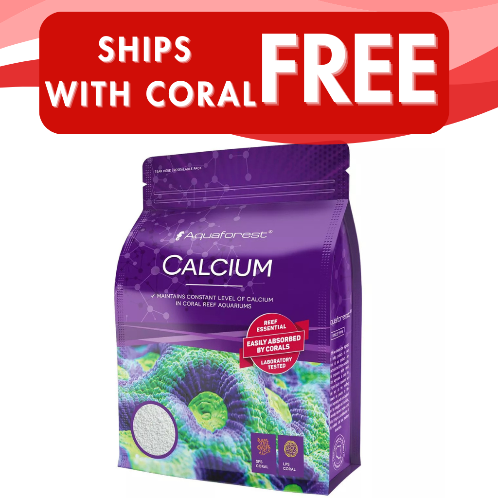 Calcium Dry Powder - 850g