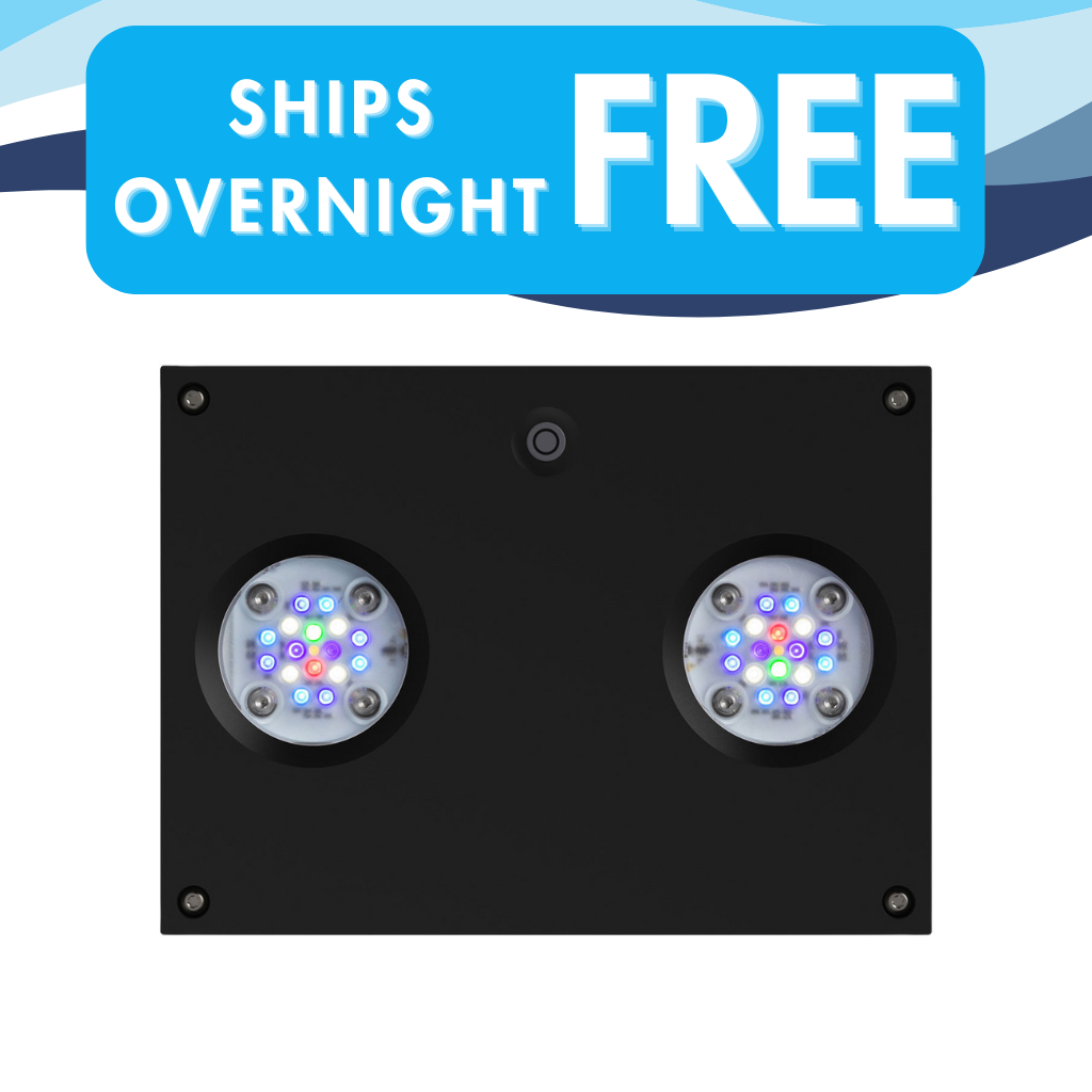 AI Hydra 32 HD LED Reef Light - Black Body – Coral Stop